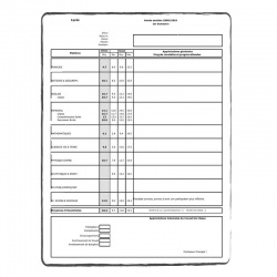 Relevé de notes Lycée (avec appréciations) - FR